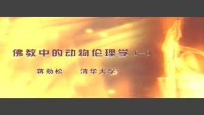 佛教中的动物伦理学视频教程 蒋劲松 5讲 清华大学