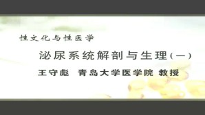 性文化与性医学视频教程 王守彪 5讲 青岛大学
