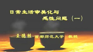 日常生活审美化与感性问题视频教程 王德胜 5讲 首都师范大学