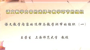 语文教学内容的选择与教学环节的组织视频教程 王荣生 7讲 上海师范大学