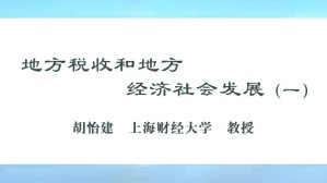 地方税收和地方经济社会发展视频教程 胡怡建 6讲 上海财经大学