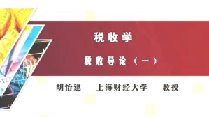 税收学视频教程 胡怡建 9讲 上海财经大学