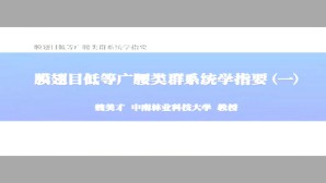 膜翅目低等广腰类群系统学指要视频教程 魏美才 9讲 中南林业科技大学