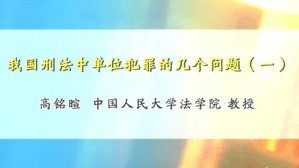 我国刑法中单位犯罪的几个问题视频教程 高铭暄 8讲 中国人民大学