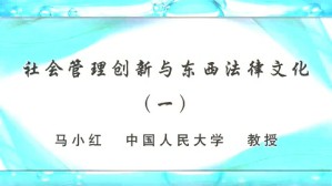 社会管理创新与东西法律文化视频教程 吴海航 谢海定 张文香 苏亦工 马小红 冯玉军 7讲 中国人民大学