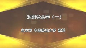 犯罪社会学视频教程 皮艺军 7讲 中国政法大学