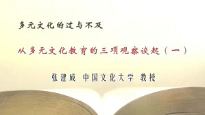 多元文化主义的过与不及视频教程 张建成 6讲 中国文化大学