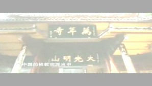 中国禅宗的兴起及其主要特色视频教程 杨曾文 6讲 中国社会科学院