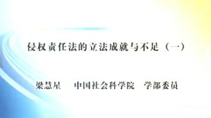 侵权责任法的立法成就与不足视频教程 梁慧星 6讲 中国社会科学院