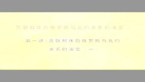 苏联解体后俄罗斯与北约关系的演变视频教程 郑羽 6讲 中国社会科学院
