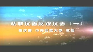 从非汉语反观汉语视频教程 戴庆厦 7讲 中央民族大学