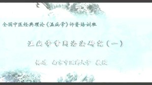 温病治法研究视频教程 杨进 7讲 南京中医药大学