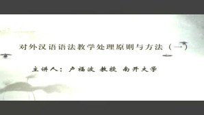 对外汉语语法教学处理原则与方法视频教程 卢福波 7讲 南开大学