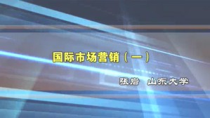 国际市场营销视频教程 张岩 8讲 山东大学