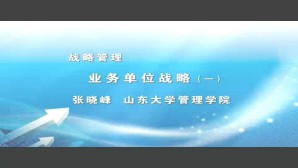 战略管理视频教程 张晓峰 7讲 山东大学