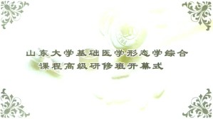 教育部2010年高等学校青年骨干教师全国基础医学形态学综合课程高级研修班视频教程 甄军晖 丁兆习 刘真 马保华 7讲 山东大学