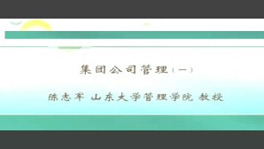 集团公司管理视频教程 陈志军 8讲 山东大学