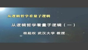 从逻辑哲学看量子逻辑视频教程 桂起权 6讲 武汉大学
