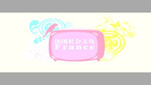 法国社会文化视频教程 罗国祥 6讲 武汉大学