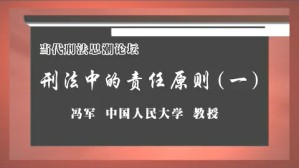 刑法中的责任原则视频教程 陈志辉 冯 周光权 9讲 清华大学