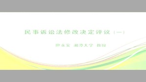民事诉讼法修改决定评议-兼论我国民诉法的修改视频教程 廖永安 8讲 湘潭大学