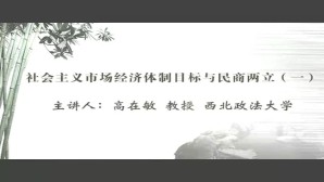社会主义市场经济体制目标与民商两立视频教程 高在敏 8讲 西北政法大学