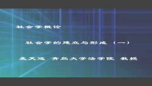 社会学概论视频教程 孟天运 6讲 青岛大学