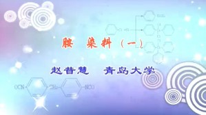 胺 染料视频教程 赵昔慧 6讲 青岛大学