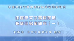 中医学关于黄褐斑的临床证治和研究视频教程 刘燕池 6讲 北京中医药大学