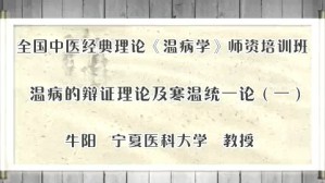 温病的辨证理论及寒温统一论视频教程 牛阳 6讲 北京中医药大学