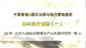 中国管理C模式与禅与现代管理精讲视频教程 阎雨 6讲 北京大学