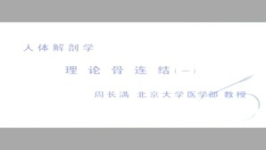 人体解剖学视频教程 周长满 8讲 北京大学