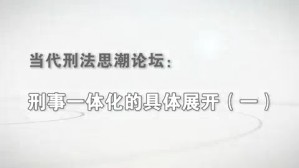 刑事一体化的具体展开视频教程 储槐植 7讲 北京大学
