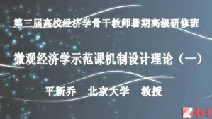 微观经济学示范课机制设计理论视频教程 平新乔 5讲 北京大学