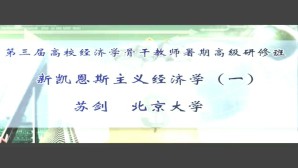 新凯恩斯主义经济学视频教程 苏剑 6讲 北京大学