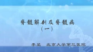 脊髓解剖及脊髓病视频教程 李坚 5讲 北京大学