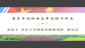 要素市场扭曲与中国经济增长视频教程 黄益平 6讲 北京大学