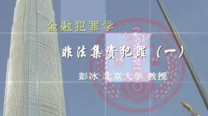 金融犯罪学视频教程 彭冰 王新 8讲 北京大学