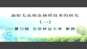 油松毛虫幼虫抽样技术的研究视频教程 夏乃斌 5讲 北京林业大学