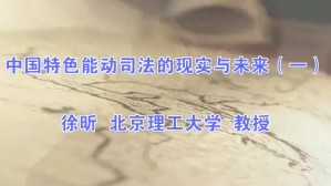 中国特色能动司法的现实与未来视频教程 徐昕 5讲 北京理工大学