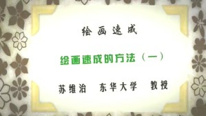 绘画速成视频教程 苏维治 9讲 华东大学