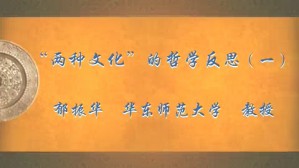 “两种文化”的哲学反思视频教程 郁振华 5讲 华东师范大学