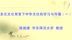 多元文化背景下中华文化的学习与传播视频教程 陈勤建 5讲 华东师范大学