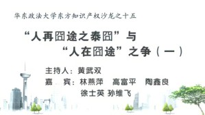 “人再囧途之泰囧”与“人在囧途”之争视频教程 黄武双 6讲 华东政法大学