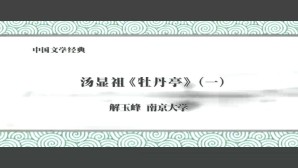 中国文学经典视频教程 解玉峰 5讲 南京大学