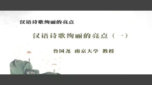 汉语诗歌绚丽的亮点视频教程 鲁国尧 6讲 南京大学