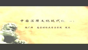 中国法律文化现代化视频教程 陶广峰 5讲 南京财经大学