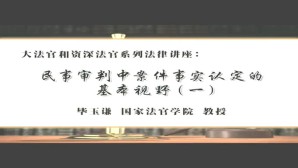 大法官和资深法官系列法律讲座视频教程 毕玉谦 6讲 国家法官学院
