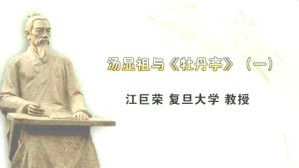 汤显祖与牡丹亭视频教程 江巨荣 5讲 复旦大学