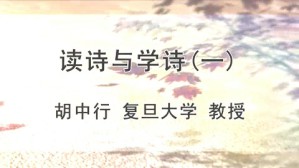 读诗与学诗视频教程 胡中行 6讲 复旦大学